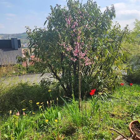 דירה Grosse Mit Traumblick Und Terrasse *