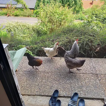 Διαμέρισμα Grosse Mit Traumblick Und Terrasse